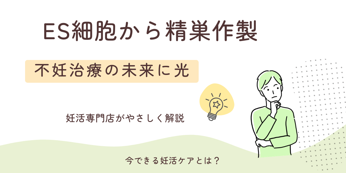 ES細胞から精巣作製の最新研究をやさしく解説 不妊治療の未来イメージ